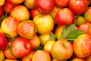 Выбор сорта яблок
