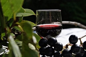 Вино из черноплодки