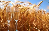 фото по теме Самогон из пшеницы