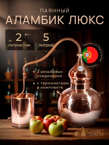 5л