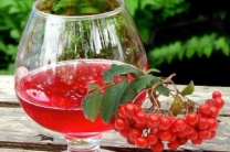 фото по теме Вино из рябины