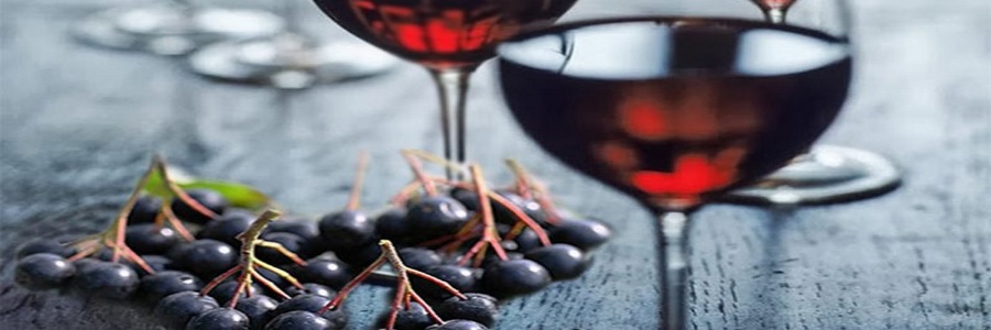Из черноплодной рябины в домашних условиях: простой рецепт вина